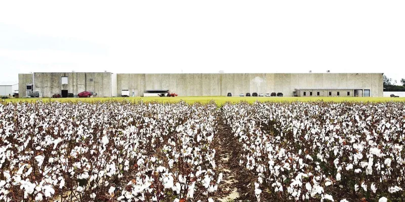 US Lawmakers Call for Stronger Textile Trade Enforcement to Protect Cotton Industry